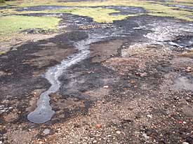In der Nähe des Teersees treten an der Oberfläche Schadstoffe aus.