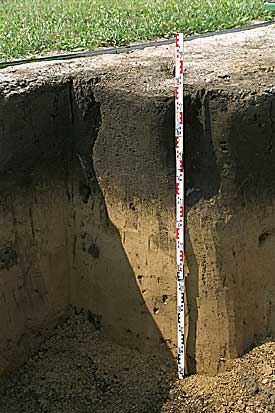 Soil profile of loess and black earth in Bad Lauchstädt/Saxony-Anhalt Soil profile of loess and black earth in Bad Lauchstädt/Saxony-Anhalt