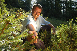 Horst Förster Horst Förster
