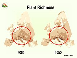 The European flora will be altered significantly by the climate change in the next years