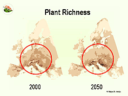 Die europäische Flora wird sich in den nächsten Jahren durch den Klimawandel deutlich verändern Die europäische Flora wird sich in den nächsten Jahren durch den Klimawandel deutlich verändern