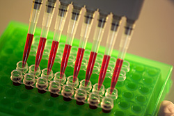 Using multi-pipettes for nanoparticle research