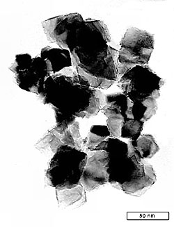 The picture of the nanoparticles was taken by transmission electron microscope The picture of the nanoparticles was taken by transmission electron microscope