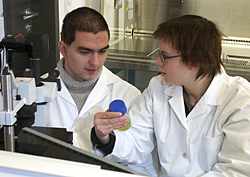 Jungforscher mikroskopieren im UFZ-Schülerlabor