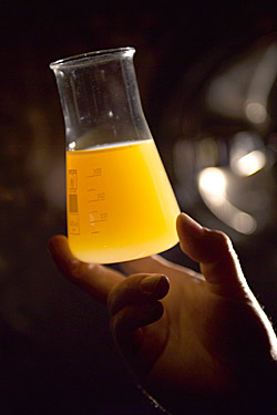 Kolben mit Fruchtsaft für Probenahme Kolben mit Fruchtsaft für Probenahme