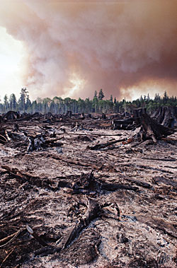 Worldwide the biodiversity is at risk Worldwide the biodiversity is at risk
