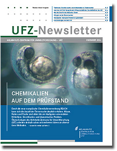 Newsletter von Dezember 2006