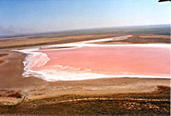 Salt lake in southern Russia