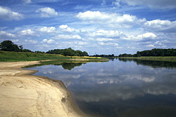 River Elbe Sand Bank, Germany