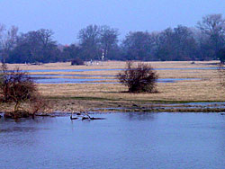 Frühjahrshochwasser an der Elbe