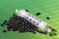 Die Bakterienfallen (BACTRAP®) Die Bakterienfallen (BACTRAP®)