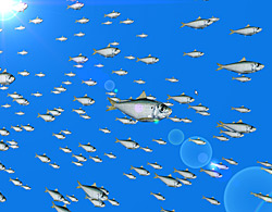 Simulierter Fischschwarm Simulierter Fischschwarm