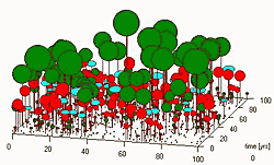 Simulation of a tropical forest in a computer model