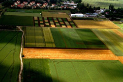 Landwirtschaft