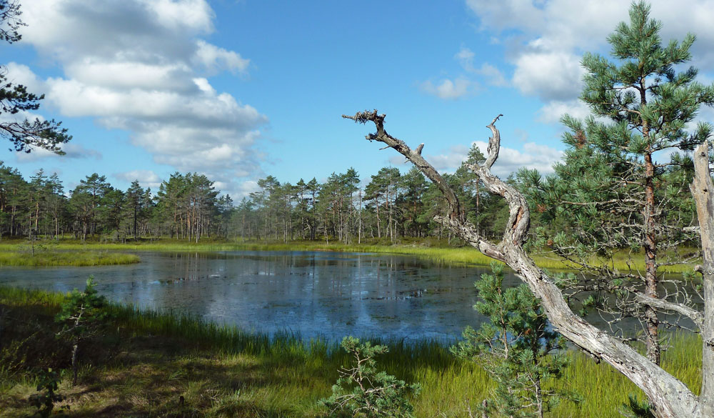 Foto: Seenlandschaft Foto: Seenlandschaft