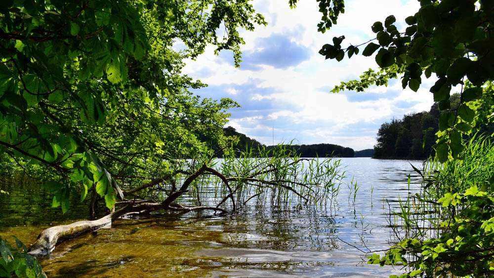 Seenlandschaft Seenlandschaft