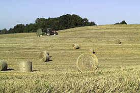 Landnutzung Landnutzung