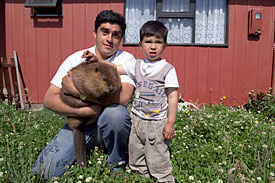 Vater und Sohn halten Biber als Haustier, Navarino, Chile
