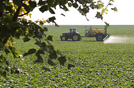 Pestizideinsatz in der Landwirtschaft