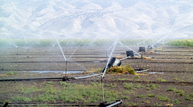 Die Landwirtschaft verbraucht etwa zwei Drittel des global genutzten Wassers. Bewässerungsanlage in ariden Gebiet