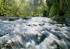 Die Selke im Harz liegt im TERENO-Beobachtungsgebiet.