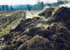 Nährstoffeinträgen (Gülle, Dung) in das Grund- und Oberflächenwasser