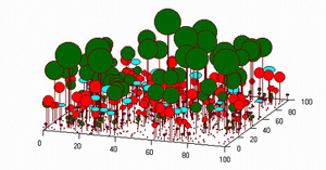 virtual forest