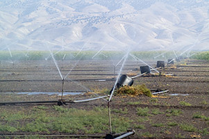 Bewässerung im Nahen Osten; Foto: André Künzelmann/UFZ