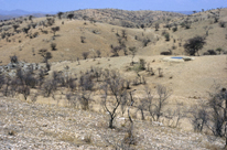Waterhole_OeM_GS9