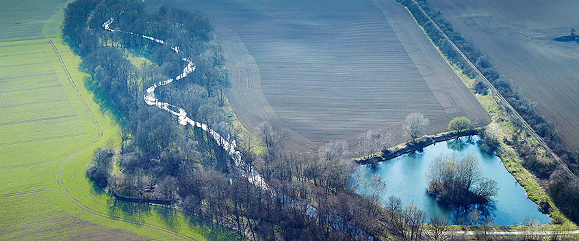 River Bode in Saxony-Anhalt. Photo: André Künzelmann/UFZ