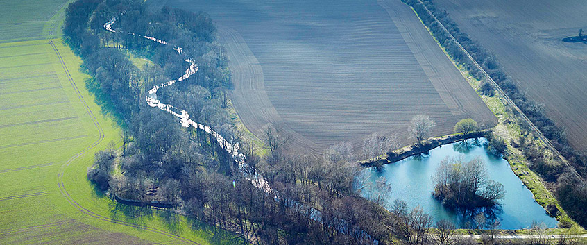 Fluss Bode in Sachsen-Anhalt. Foto: André Künzelmann/UFZ