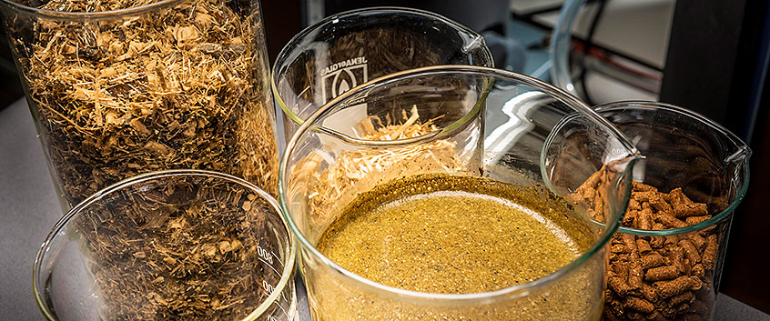 Bioenergy. Photo: André Künzelmann/UFZ Bioenergy. Photo: André Künzelmann/UFZ