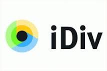 Logo iDiv