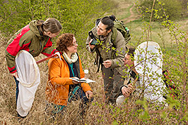 Tagfaltermonitoring; Foto: André Künzelmann/UFZ