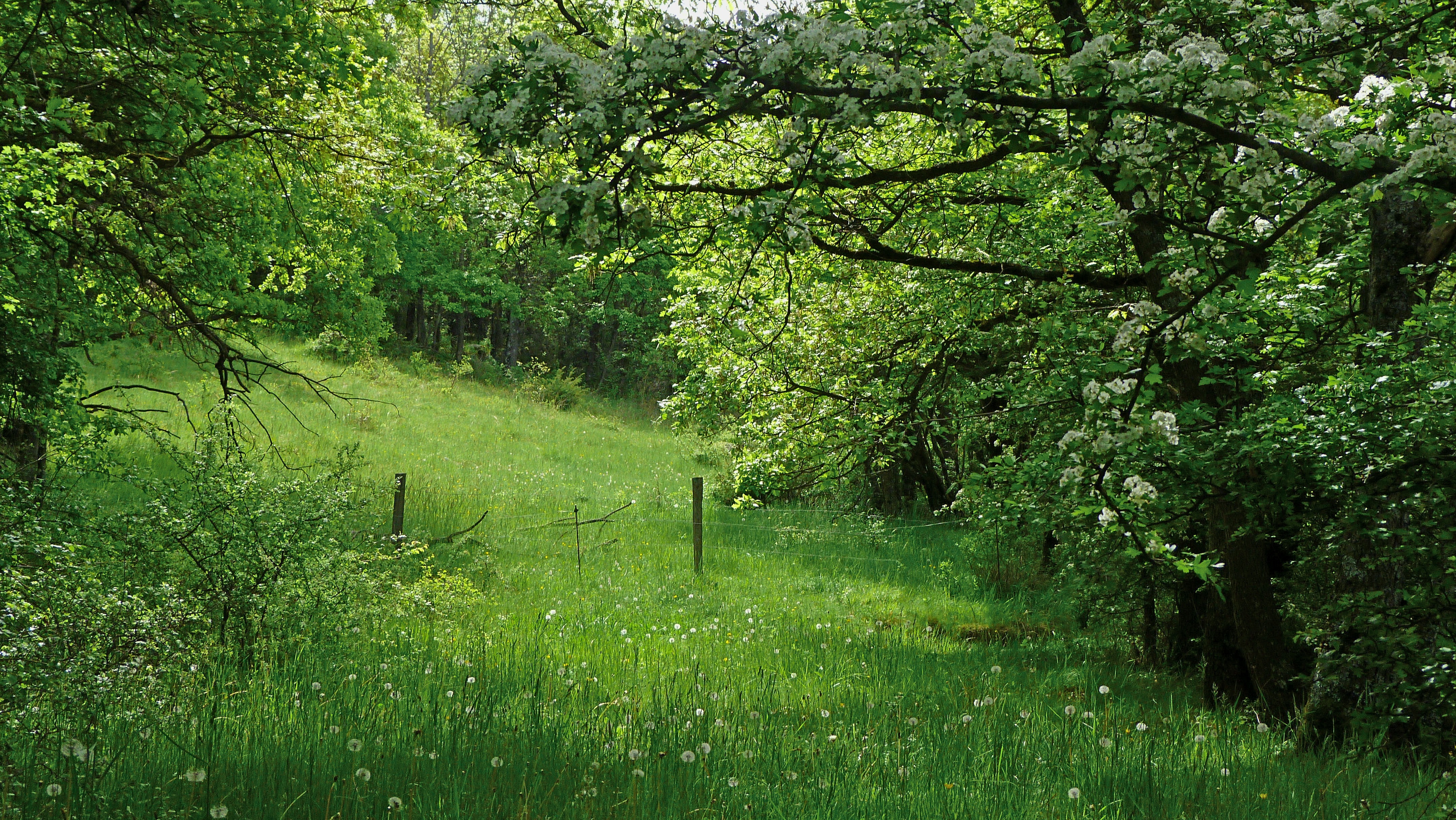 Naturlandschaft