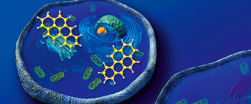 Department Molekulare Systembiologie. Foto: www.fotosearch.de, Bildmontage: noonox media