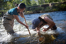 Scientists test the quality of water bodies. Photo: 2470media