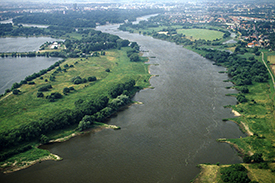 Die Elbe. Foto: Mathias Scholz, UFZ