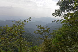 Naturschutzgebiet Gutianshan in der Provinz Zhejiang westlich von Shanghai (VR China), Foto: Helge Bruelheide Naturschutzgebiet Gutianshan in der Provinz Zhejiang westlich von Shanghai (VR China), Foto: Helge Bruelheide