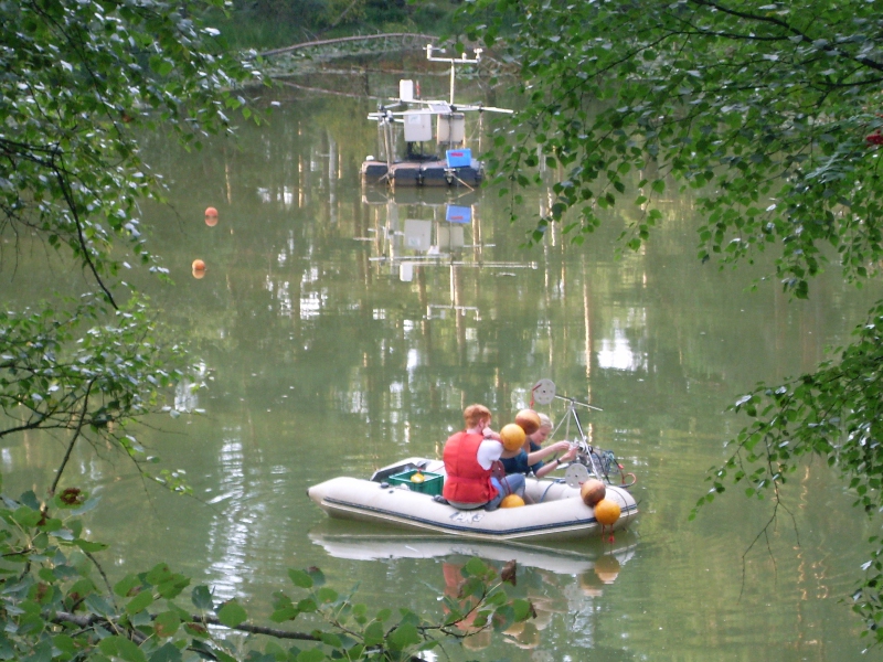 Waldsee