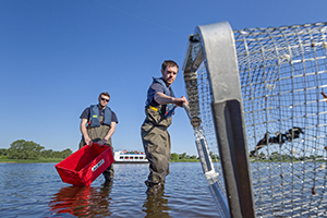 Fliessgewässerforschung an der Elbe. Foto: André Künzelmann/UFZ