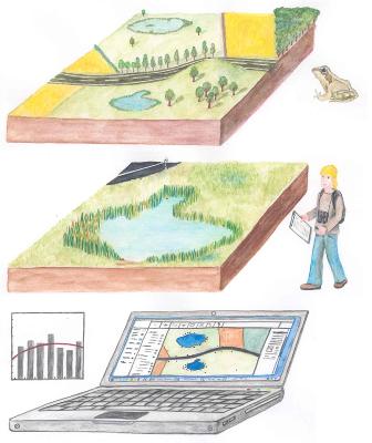 Population ecology Population ecology