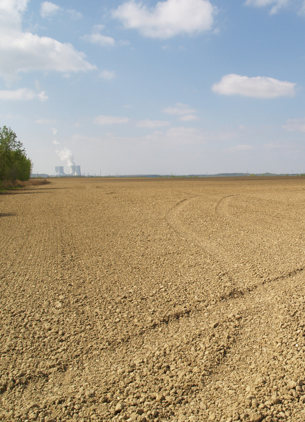 Innenkippe Witznitz (Foto: Hans Schmidt-Wolfersdorf)