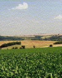 Landschaft Landschaft