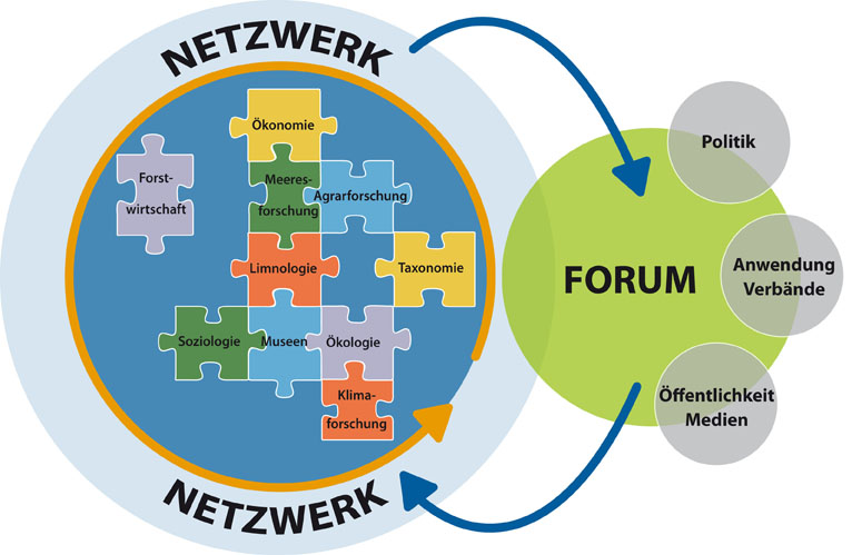 Netzwerk-Forum Biodiversität