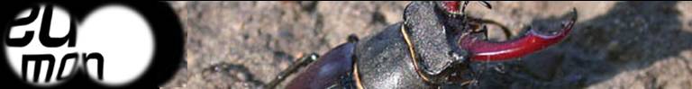 EuMon - EU-wide monitoring methods and systems of surveillance for species and habitats of Community interest EuMon - EU-wide monitoring methods and systems of surveillance for species and habitats of Community interest