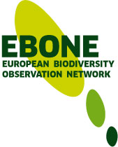 EBONE Logo