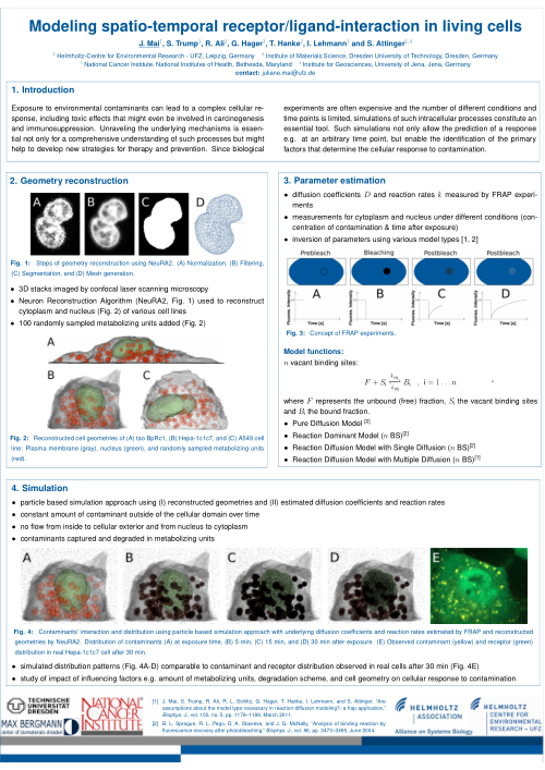 Poster Mai ICSB 2011