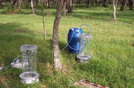 Open soil chambers used for flux and isotopic composition measurement. The chambers are installed on bare soil plots, plots with root growth and with undisturbed vegetation cover.