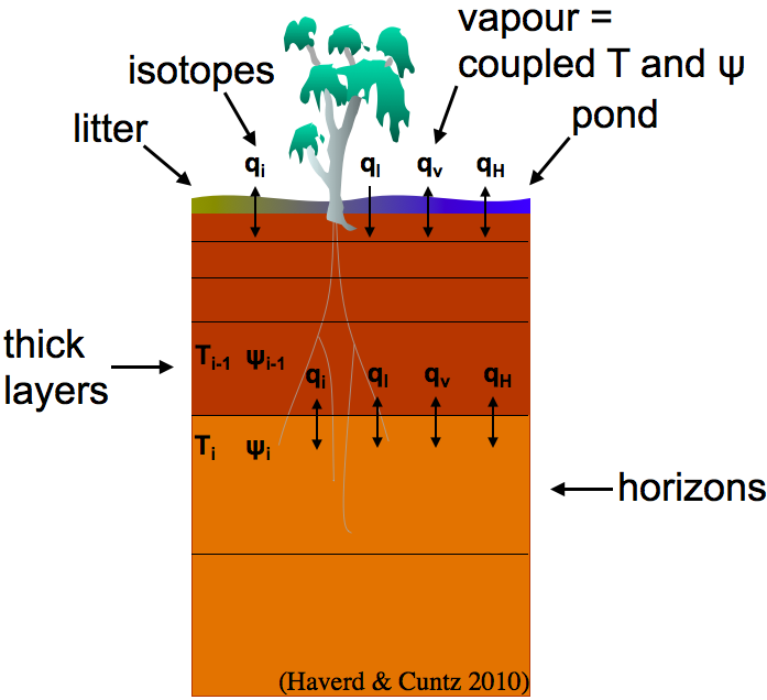 Scheme of Soil-Litter-Iso (SLI) with heat, liquid water, vapour, and isotope fluxes, including ponding and a litter layer. The numerics is very robust against step changes in state variables, e.g at soil horizon boundaries or saturated/unsaturated zones, so that it can be used with large layer thicknesses.